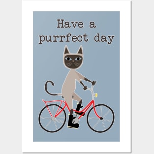 Siamese cat on bicycle Posters and Art